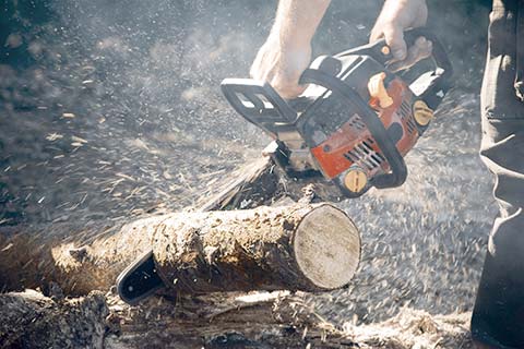 Person chops a branch with a chainsaw